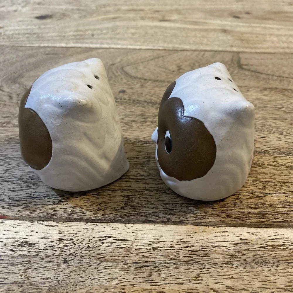 Rare Vintage Owl Salt and Pepper Shakers Set